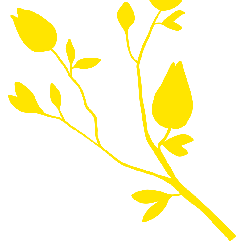 tools.option-1.image-2.alt